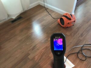 911 restoration mold removal northern houston