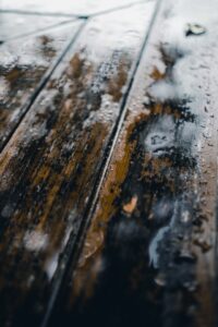 Removing Mold from Wood
